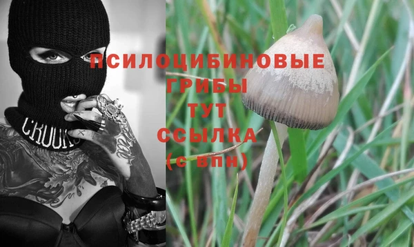 гашик Арсеньев
