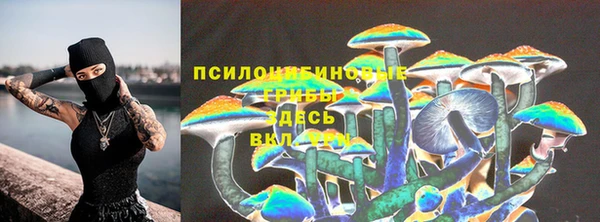 Альфа ПВП Аркадак