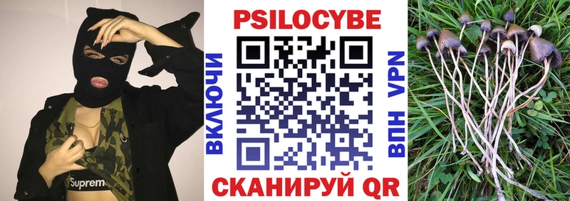 наркота Глазов Галлюциногенные грибы GOLDEN TEACHER